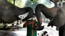 Penjaga kandang memberi makan Gajah Sumatera (Elephas Maximus Sumatranus) di Taman Margasatwa Ragunan (TMR), Jakarta, Selasa (23/2/2021). Walau masih tutup akibat pendemi COVID-19, pelayanan terhadap satwa di TMR tetap berjalan setiap hari dan sesuai protokol kesehatan. (merdeka.com/Arie Basuki)