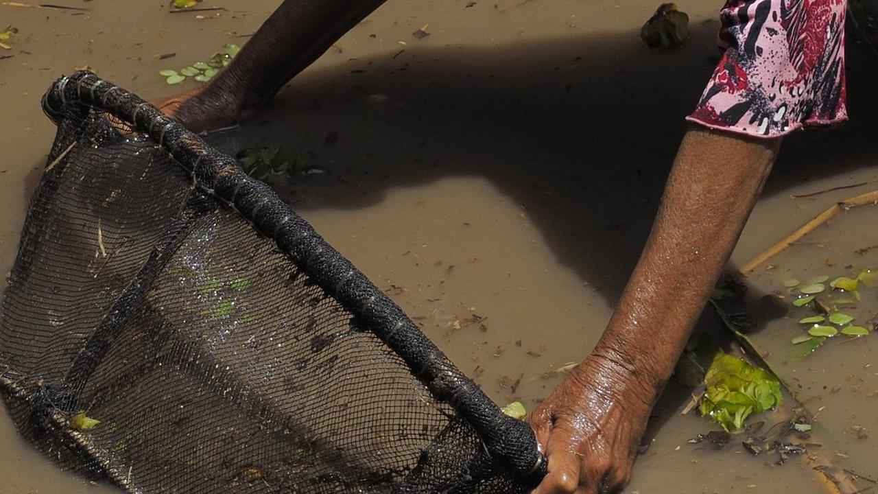 Tradisi Nirok Nanggok, Cara Masyarakat Belitung Mencari Ikan di Sungai Ketika Musim Kemarau Tiba