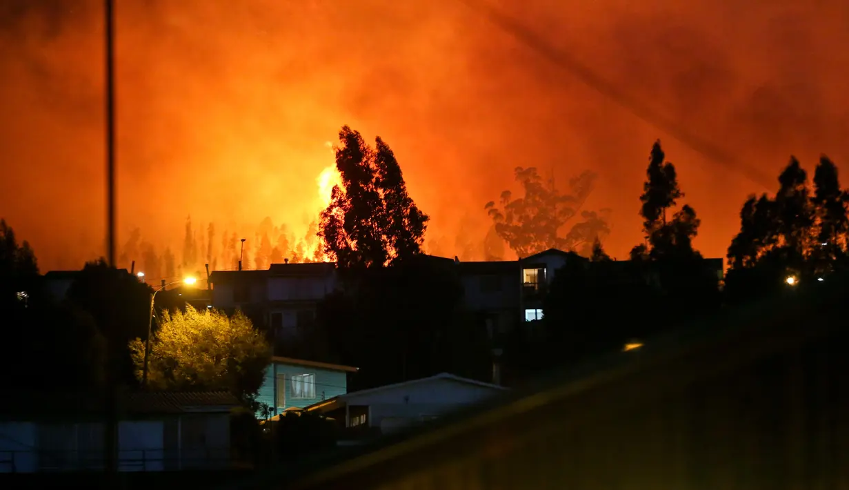 Kobaran api terlihat di kawasan Dichato Chili, Senin (30/1). Chili saat ini sedang berjuang melawan kebakaran terburuk dalam sejarah negara mereka. (AP Photo / Esteban Felix)