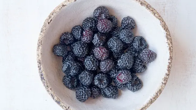 Gambar Ilustrasi Buah Blackberry