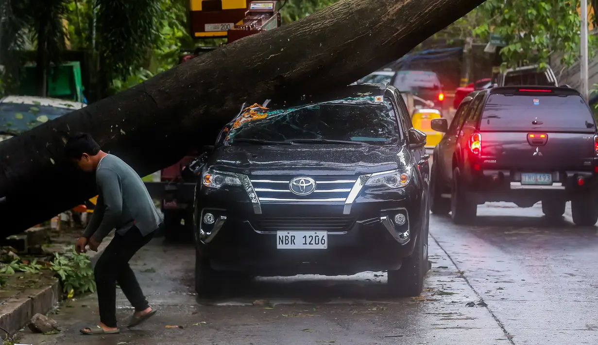 Sebuah mobil rusak tertimpa pohon tumbang di Quezon City, Filipina, 12 November 2020. Topan Vamco, topan dahsyat ketiga yang melanda Filipina dalam 11 hari terakhir, membawa angin kencang dan hujan deras yang memicu tanah longsor, longsor batu, serta bandang. (Xinhua/Rouelle Umali)