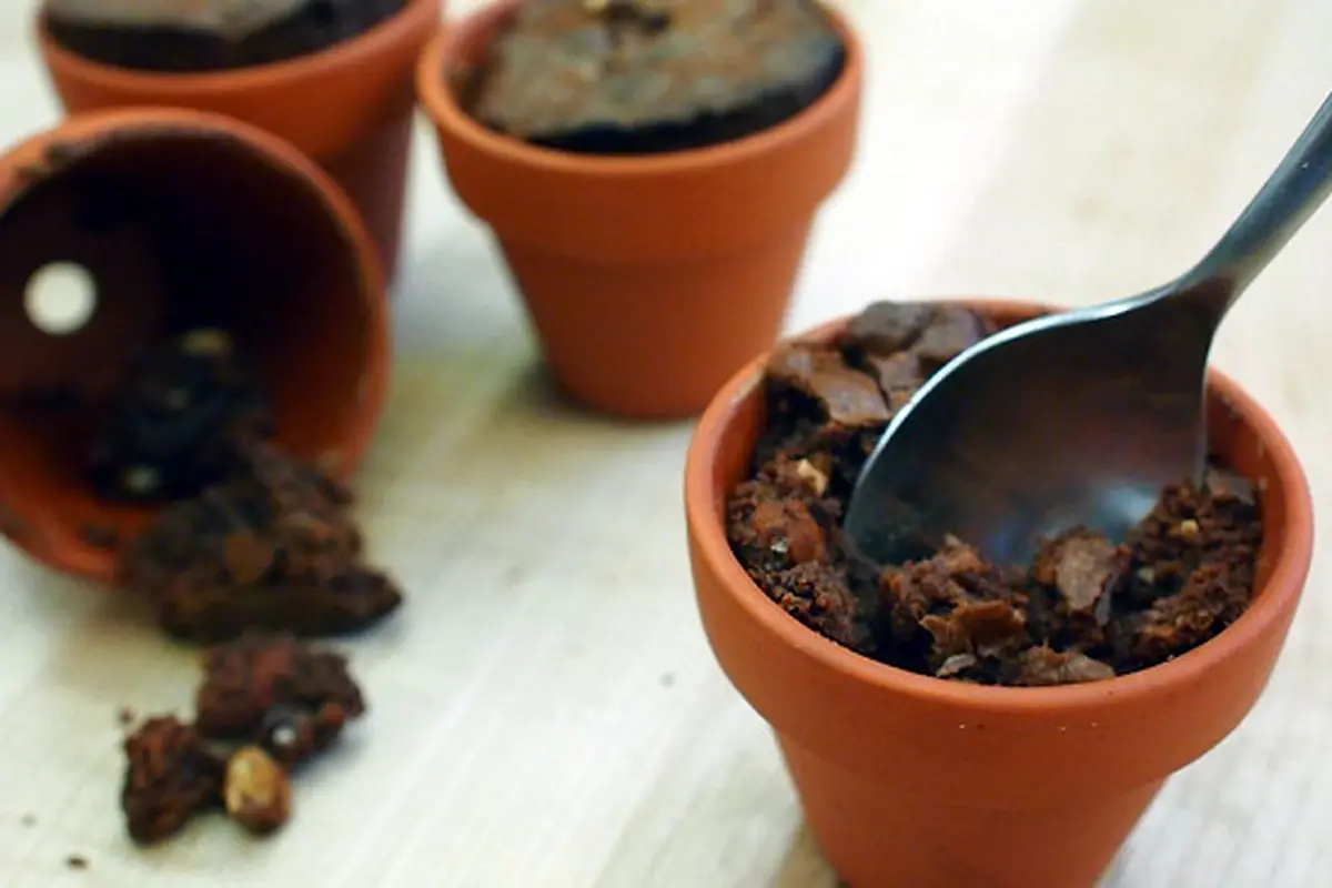 Brownies Pot