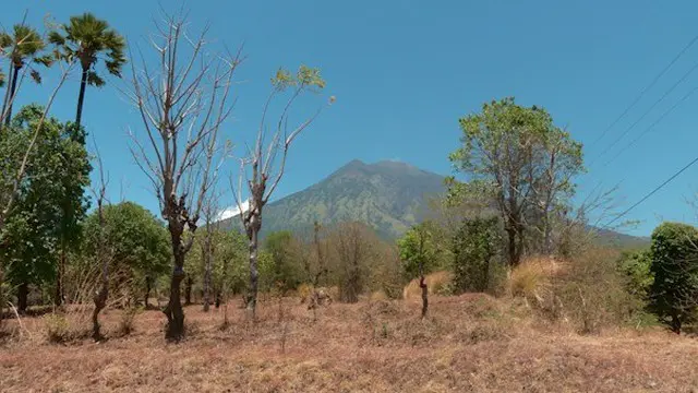 Banyak warga mengungsi saat Gunung Agung berstatus awas, namun tak sedikit yang enggan meninggalkan rumahnya. Apa sebenarnya alasan mereka?