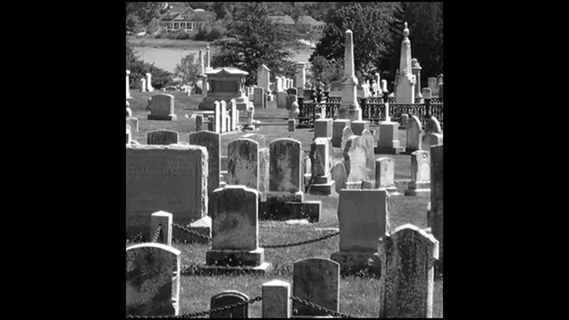 Photo copyright listverse.com