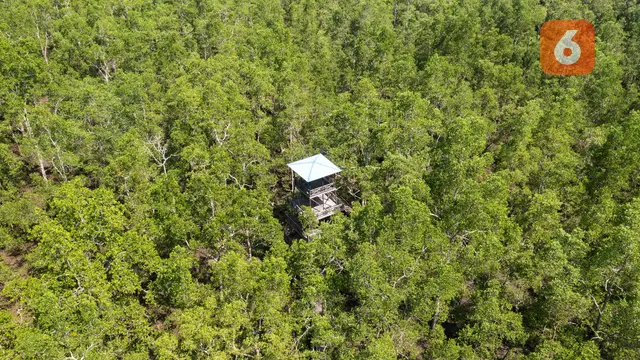 Posko Pemantauan Kawasan Mangrove