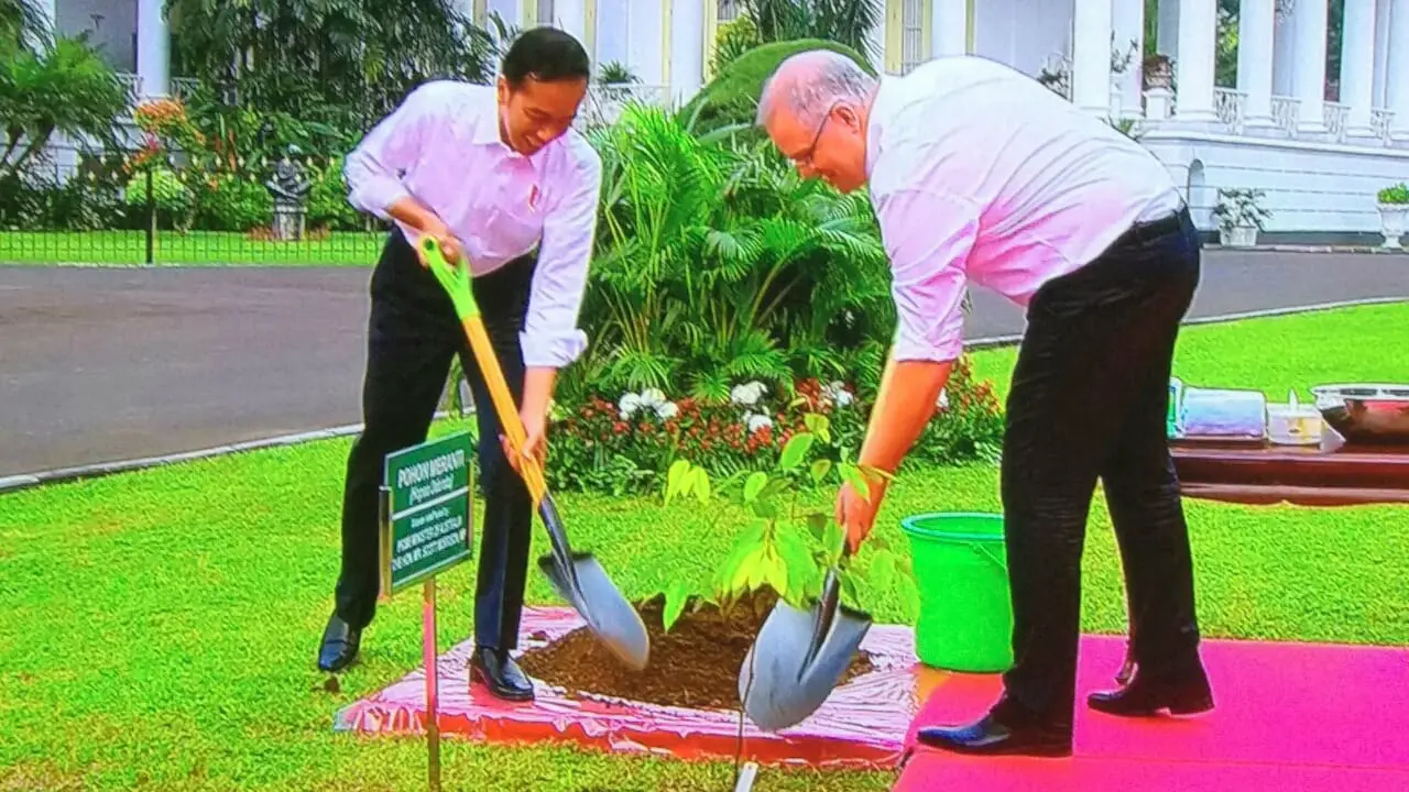 Presiden Jokowi mengajak PM Australia Scott Morrison menanam pohon di Istana Bogor