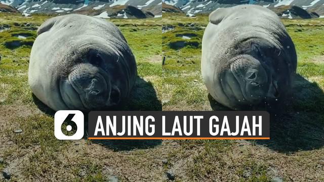 Berita Tidur Hari Ini - Kabar Terbaru Terkini | Liputan6.Com - Page 6