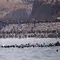 Spanyol Kirim Militer ke Ceuta Usai Ribuan Migran Menyeberang dari Maroko