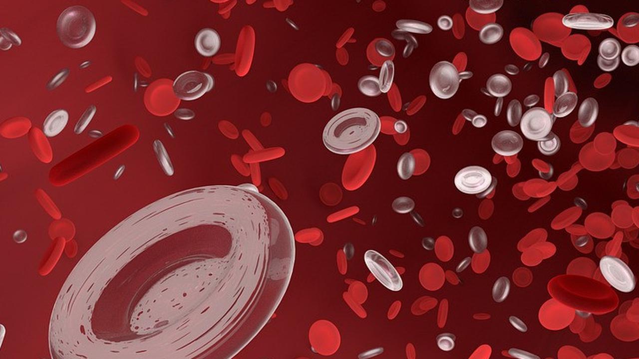 6 Fakta Golongan Darah A Wanita yang Jarang Diketahui, Rentan Penyakit Diabetes hingga Kanker