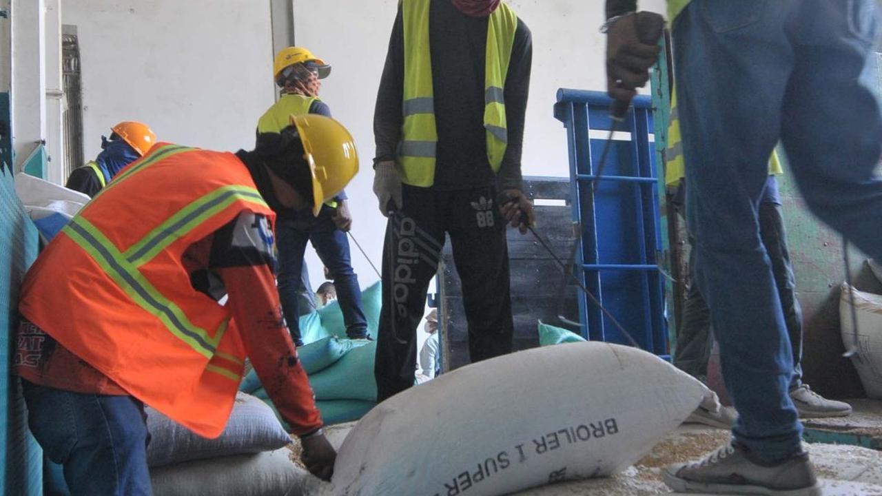 Berdasarkan sumber yang didapat dari Kerangka Sampel Area (KSA), Badan Pusat Statistik (BPS), menerangkan  bahwa pada April 2024, produksi beras nasional diperkirakan mencapai 5,53 juta ton. Foto: merdeka.com / Imam Buhori<br>