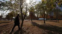 Seorang pria yang memakai masker sebagai pencegahan terhadap virus corona COVID-19 berjalan dekat pepohonan saat musim gugur di Seoul, Korea Selatan, Rabu (11/11/2020). (AP Photo/Lee Jin-man)