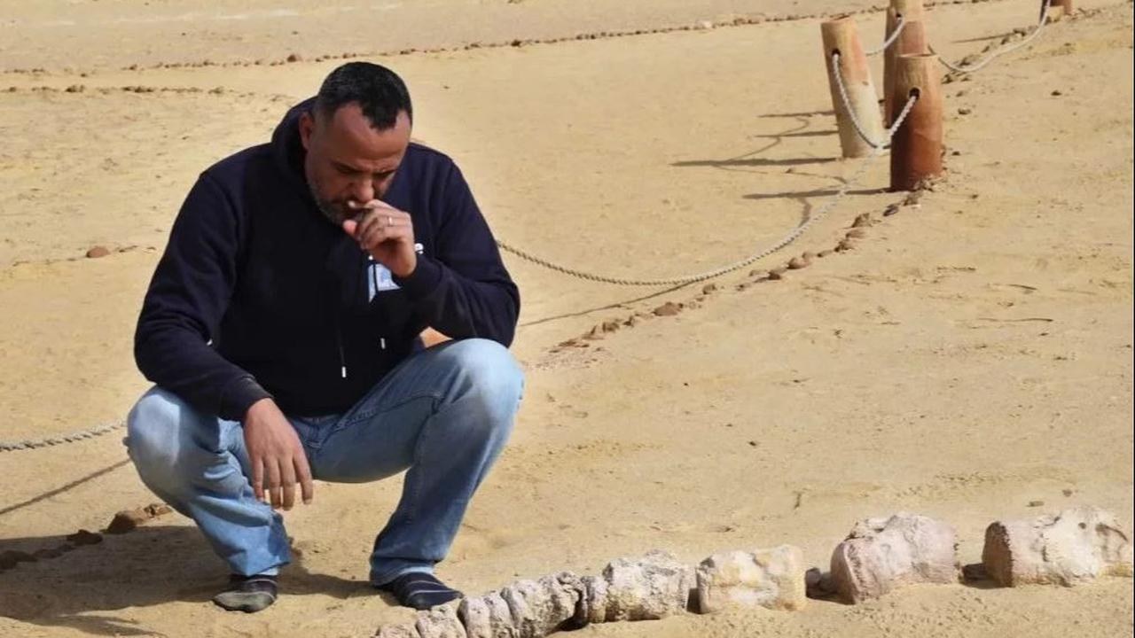 "Ini mendukung gagasan bahwa apa yang dikenal sebagai Fayoum hari ini dulunya merupakan daerah berkembang biak penting bagi paus purba," jelas Gohar.