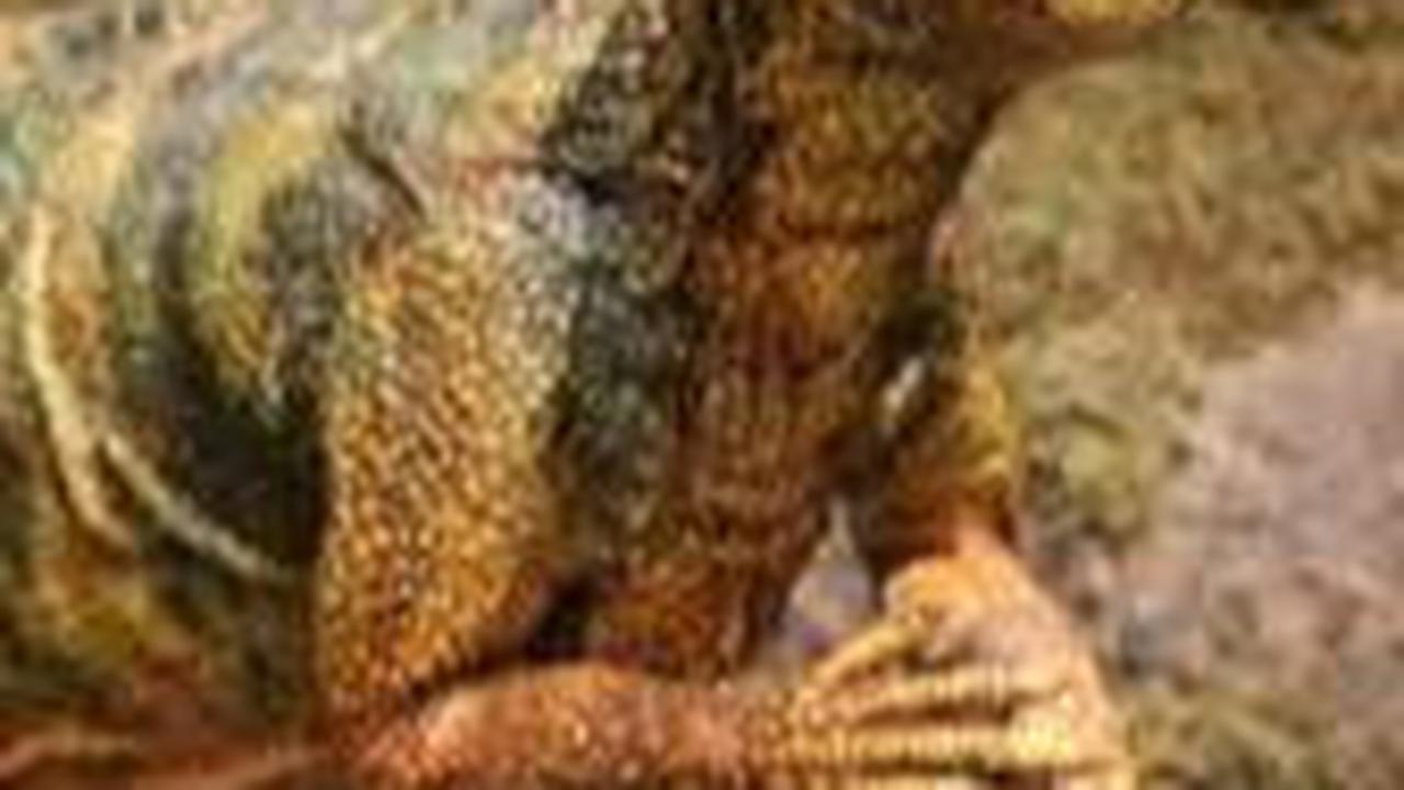 Penemuan Fosil Spesies Baru dari Dinosaurus Ornithopod Mulai Digali di Texas