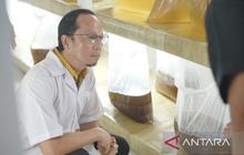 Bangka Tengah Jadi Pusat Pembenihan Udang Vaname, Produksi Benur Capai 593 Juta Ekor