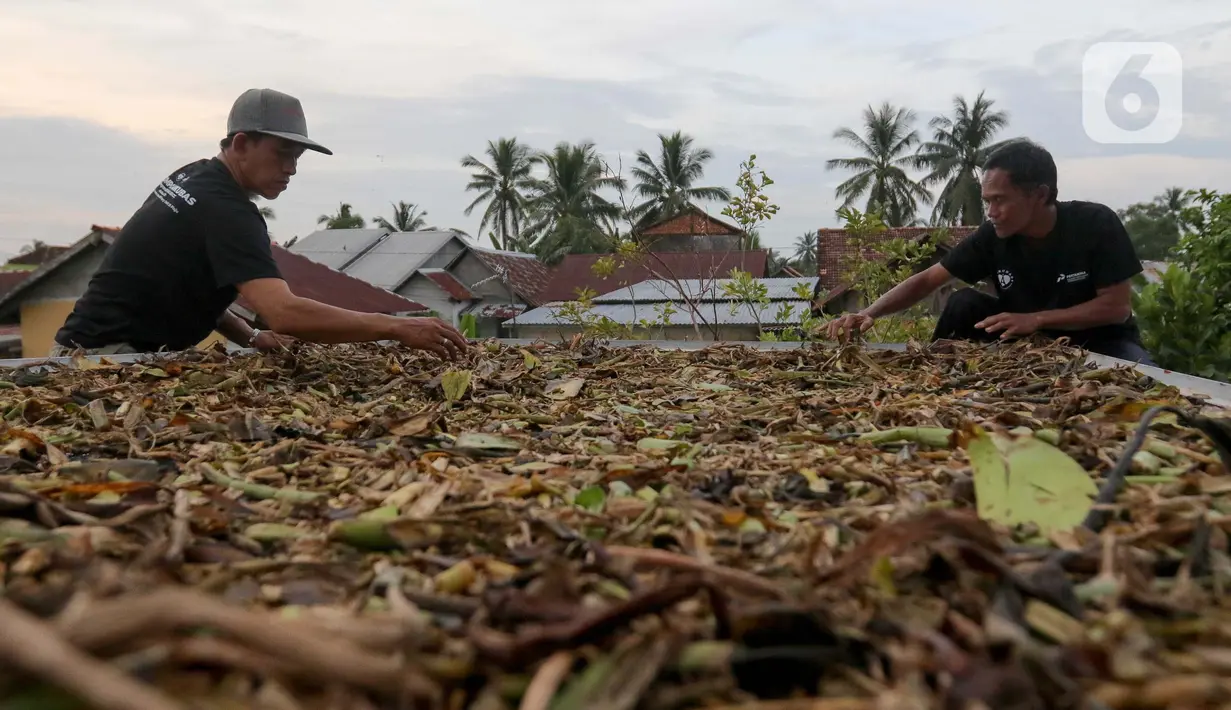 Melalui program Tanggung Jawab Sosial Lingkungan (TJSL) Musiparian & ERCC (Eceng Gondok Research & Creative Center), Kilang Pertamina Plaju sukses memberdayakan pemuda setempat untuk mengolah eceng gondok menjadi produk bernilai ekonomi. (Liputan6.com/Herman Zakharia)