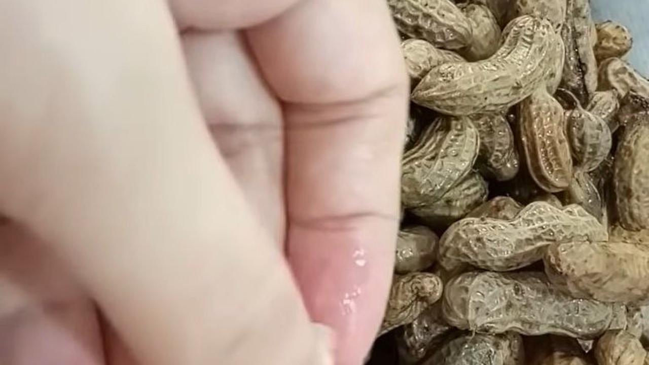 Kacang Tanah Jadi Benar-benar Empuk