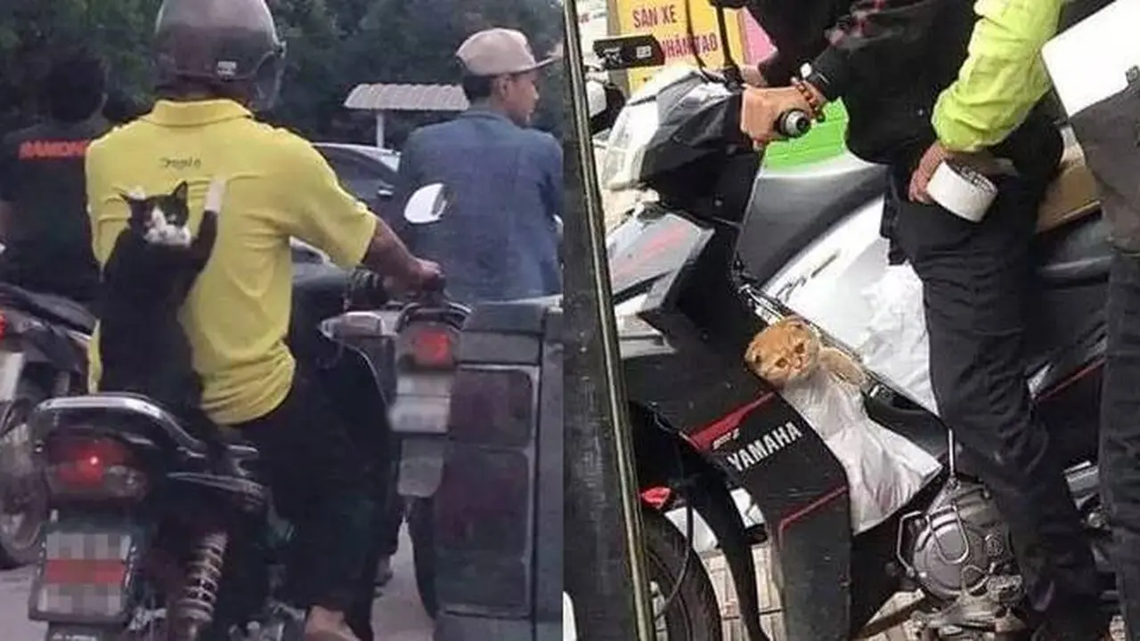 7 Potret Kocak Orang Boncengin Hewan Peliharaan Naik Motor Ini Lucu Banget