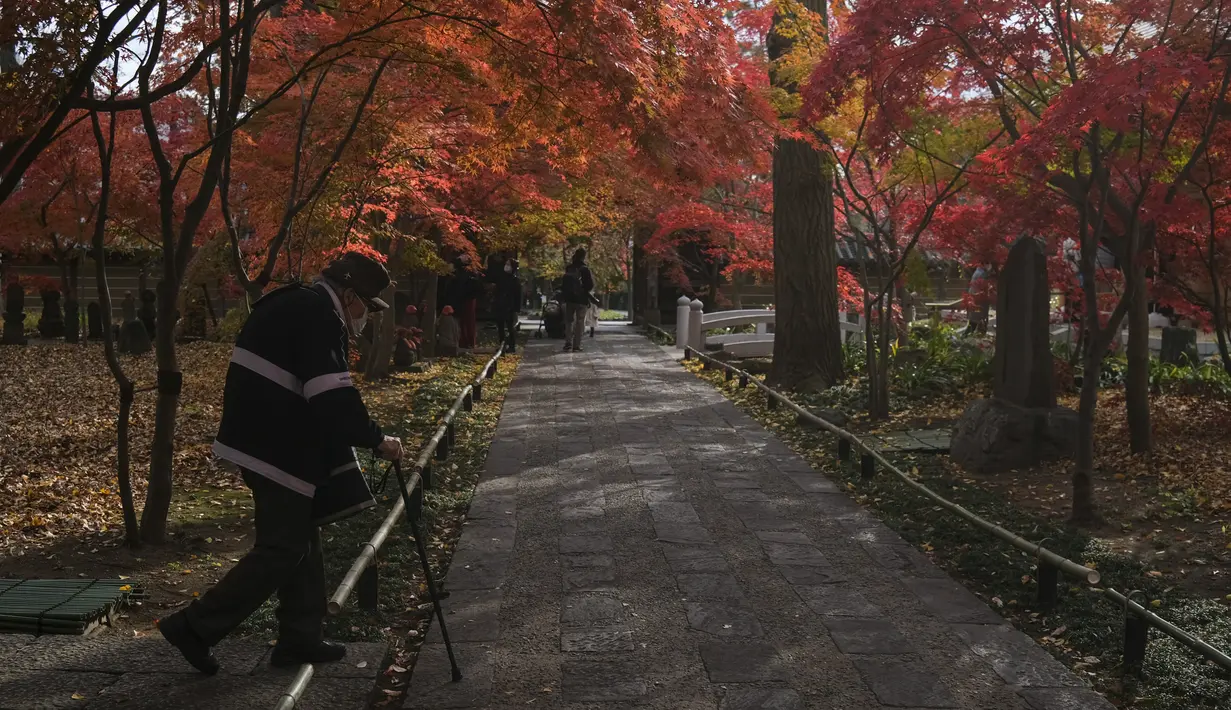 Seorang pria yang mengenakan masker mengunjungi kuil Buddha Joshinji sambil mengamati warna dedaunan musim gugur di Tokyo, Jepang pada 9 Desember 2020. (AP Photo/Kiichiro Sato)