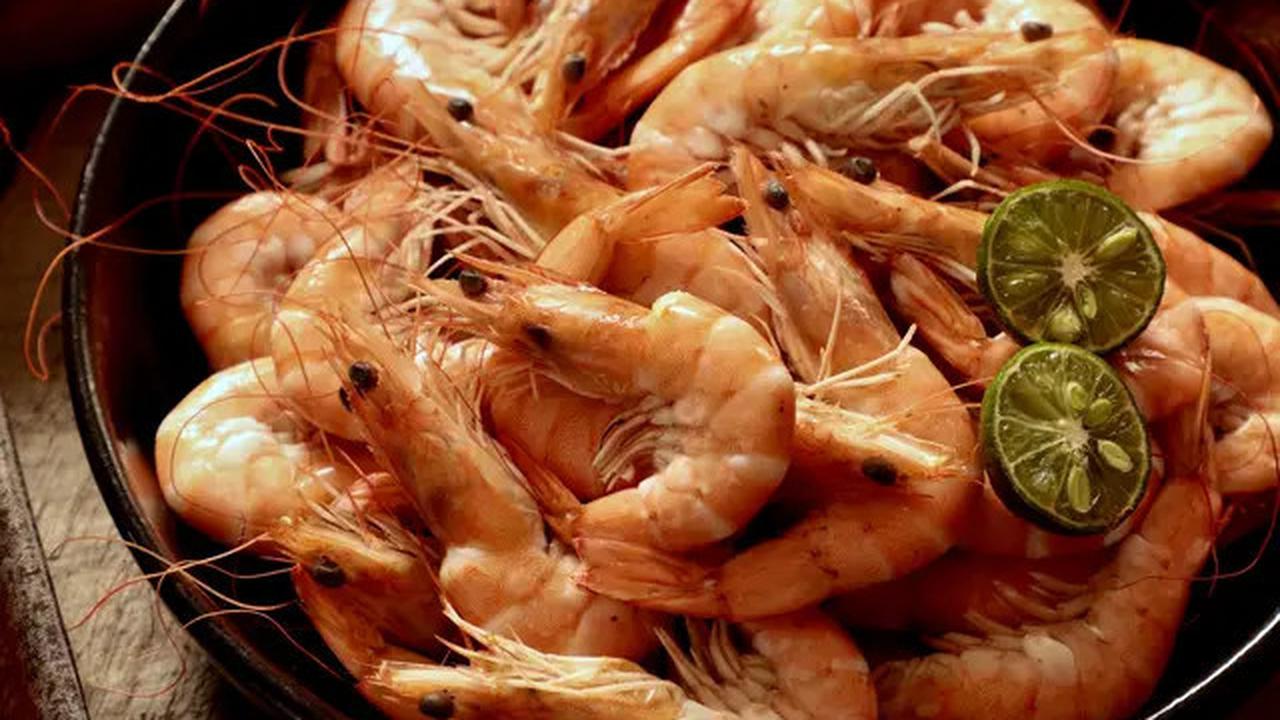Rahasia Rebus Udang Tetap Cantik dan Lembut yang Jarang Diketahui