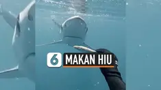Penyelam asal New Zealand, membagikan video ia tengah memberi makan seekor hiu secara langsung dengan santai. Ia memang dikenal akrab dengan habitat hewan laut buas tersebut.