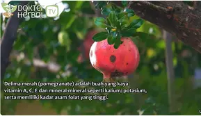 Dokter Herbal Ungkap Cara Manfaatkan Delima Merah untuk Kecantikan
