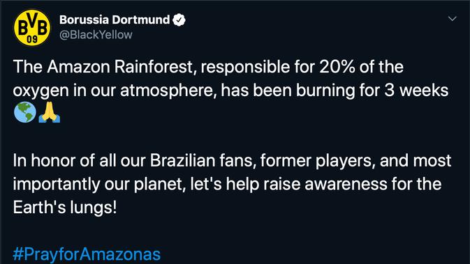 Klub sepakbola Jerman, Borussia Dortmund mencuitkan sebuah foto dan pernyataan keprihatinan terkait kebakaran hutan Amazon pada Jumat (23/8/2019).