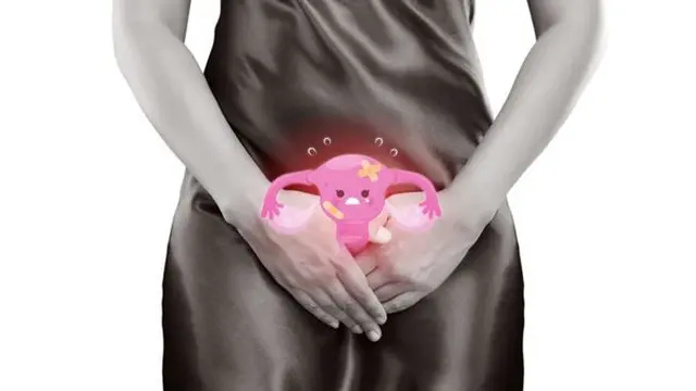 Ilustrasi vagina | KlikDokter