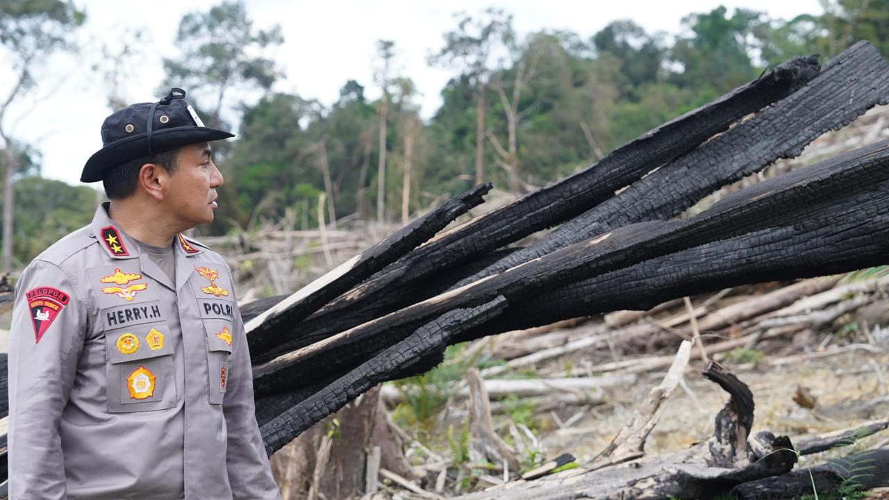 Hutan lindung Batang Ulak