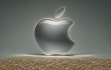 Menteri Rosan Ungkap Apple Tak Investasi Langsung di Indonesia, tapi Lewat Vendor