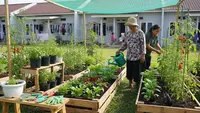 8 Ide Kebun Sayur untuk Ibu-ibu di Komplek Perumahan Subsidi, Panen Jadi Lebih Mudah