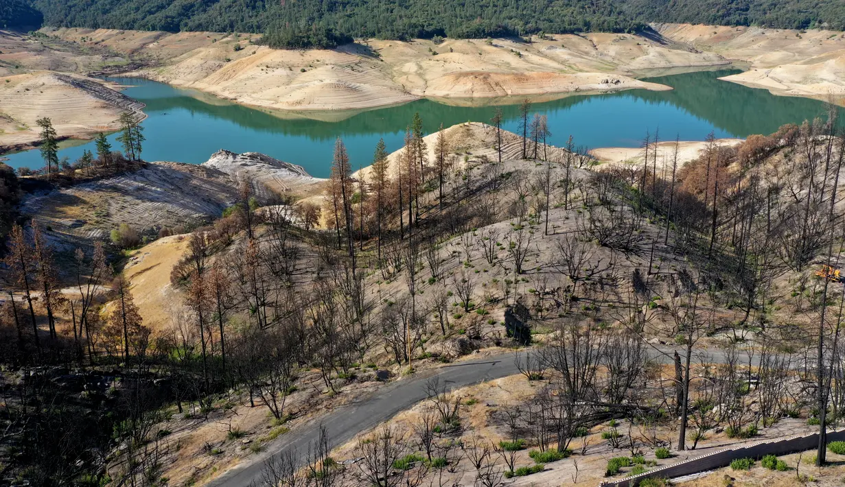 Pantauan udara memperlihatkan pohon-pohon yang terbakar di tepi Danau Orovilledi Oroville, California (1/6/2021). Menyusutnya Danau Oroville juga diperparah dengan kebakaran hutan beberapa waktu lalu yang membuat pepohonan hingga bangunan di sekitar waduk hangus terbakar. (AFP/Justin Sullivan)