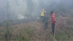 PDIP Ungkap Dua Masalah Utama di Balik Kebakaran Hutan