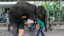 Dua orang petugas memakaikan kaki prostetik (palsu) untuk gajah Motola di Friends of the Asian Elephant Foundation di Lampang, Thailand, (29/6). Motola mengalami catat akibat menginjak ranjau darat. (REUTERS/Athit Perawongmetha)