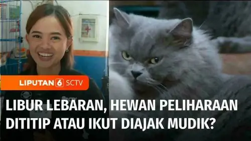 VIDEO: Libur Lebaran, Ini Solusi bagi Hewan Peliharaan saat Ditinggal atau Diajak Mudik