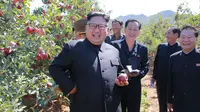 Pemimpin Korea Utara, Kim Jong-Un tersenyum ketika mengunjungi sebuah perkebunan buah apel di Kwail County, provinsi Hwanghae Selatan pada foto yang dirilis Kamis (21/9). (STR / KCNA VIS KNS / AFP)