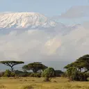 6 Oktober 1889: Hans Meyer, Pendaki Pertama yang Sampai Puncak Tertinggi di Afrika