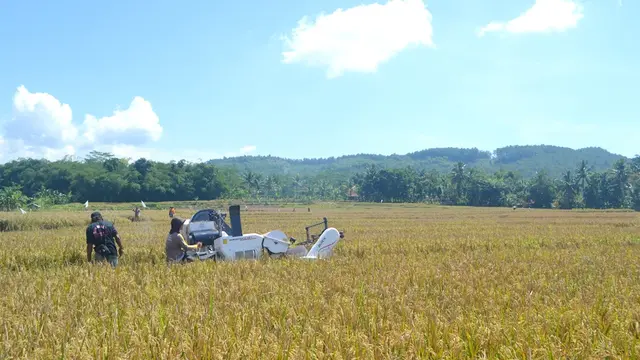 Panen Padi menggunakan Rice Harvester. (Foto: Liputan6.com/Muhamad Ridlo)