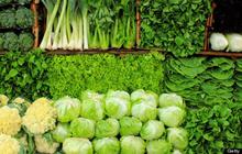 Variasi Menu Diet Sayur Hijau Mudah Dibuat, Bisa Dicoba Agar Tidak Membosankan