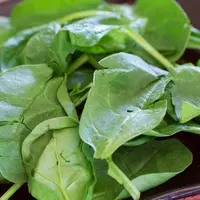 Bayam | Via: istimewa