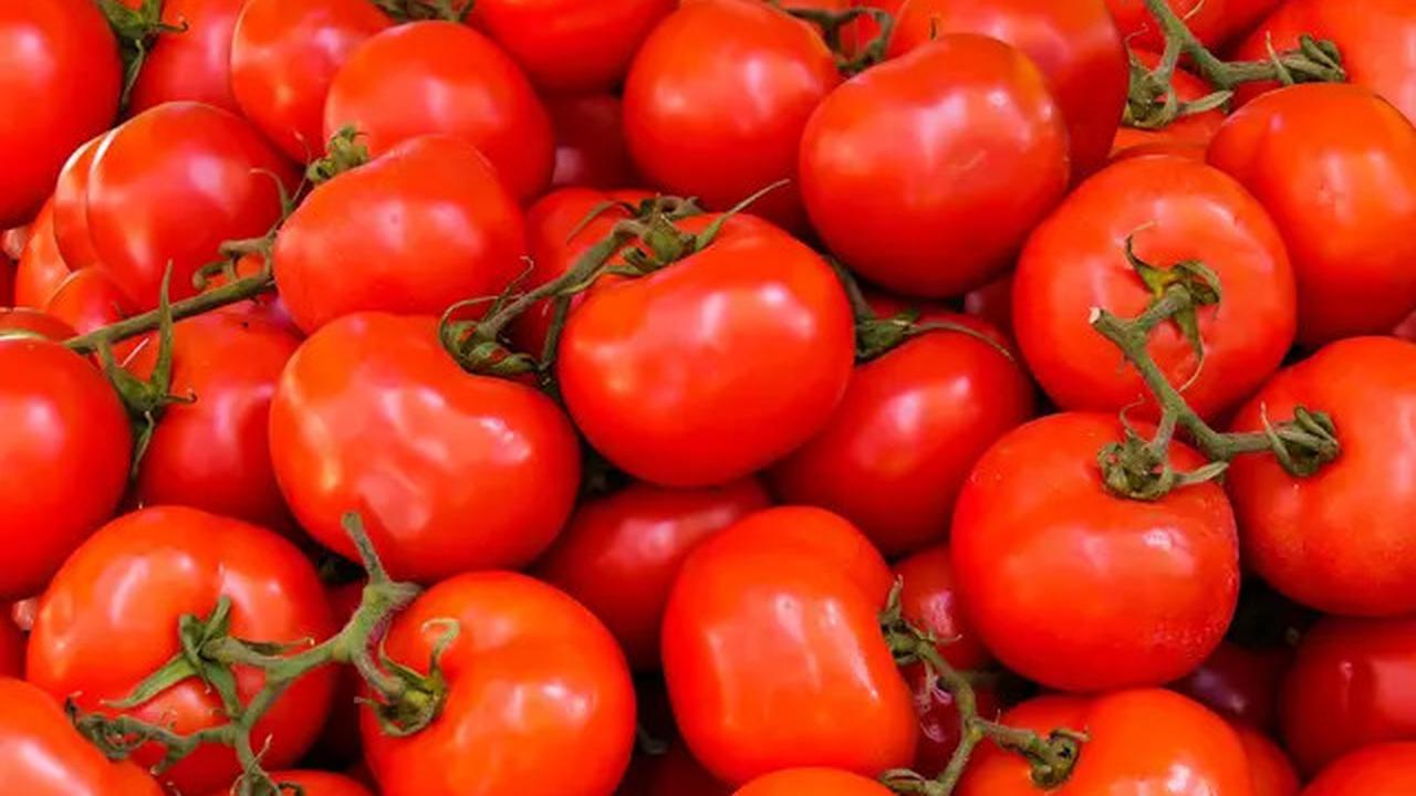Cara Sederhana Menurunkan Kolesterol secara Alami dengan Sayur Tomat