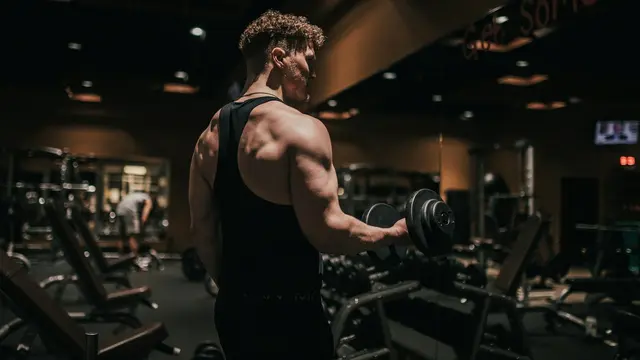 Muscle