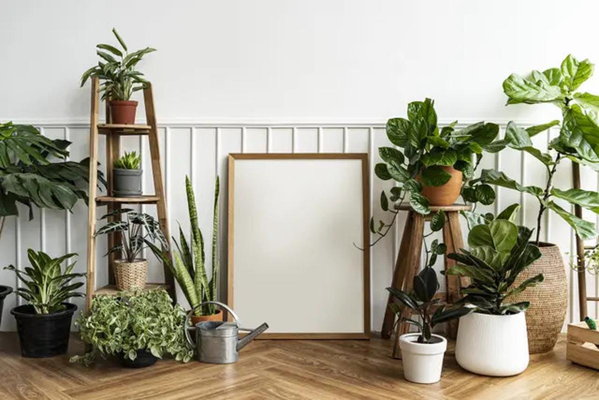 10 Tips Membuat Rumah Kecil Terlihat Mewah Tanpa Renovasi Besar, Mudah dan Hemat Biaya