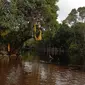 Kawasan situ budaya patahu Buhai Bapa Laut Bulan di Tumbang Sei Purun, Desa Sei Jaya Barito Selatan. (Istimewa)