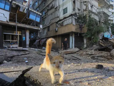 Seorang pria (belakang) berjalan saat seekor kucing berkeliaran di jalan yang rusak di lokasi serangan udara Israel di lingkungan Mreijeh, pinggiran selatan Beirut pada 4 Oktober 2024. (Foto oleh AFP)