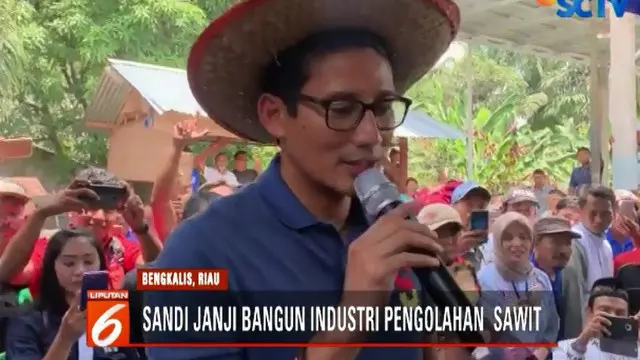 Tak hanya berorasi, Sandi yang merupakan wakil dari Capres Prabowo Subianto ini juga menyempatkan diri untuk memasukan tandan sawit ke dalam gerobak dan mendorongnnya.