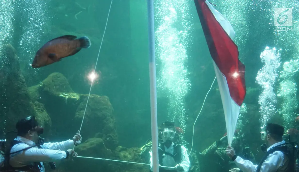 Penyelam melakukan upacara pengibaran bendera di Aquarium Utama Sea World Ancol, Jakarta, Senin (12/8/2019). Pengibaran bendera diadakan dalam rangka menyambut HUT ke-74 RI pada 17 Agustus mendatang. (Liputan6.com/Immanuel Antonius)