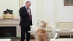 Presiden Vladimir Putin bermain dengan anjingnya yang bernama Yume sebelum memberikan keterangan untuk media Jepang, Japanese Nippon Television dan surat kabar Yomiuri di Kremlin di Moskow, Rusia (7/12). (Sputnik/Kremlin/Alexei Druzhinin via Reuters)