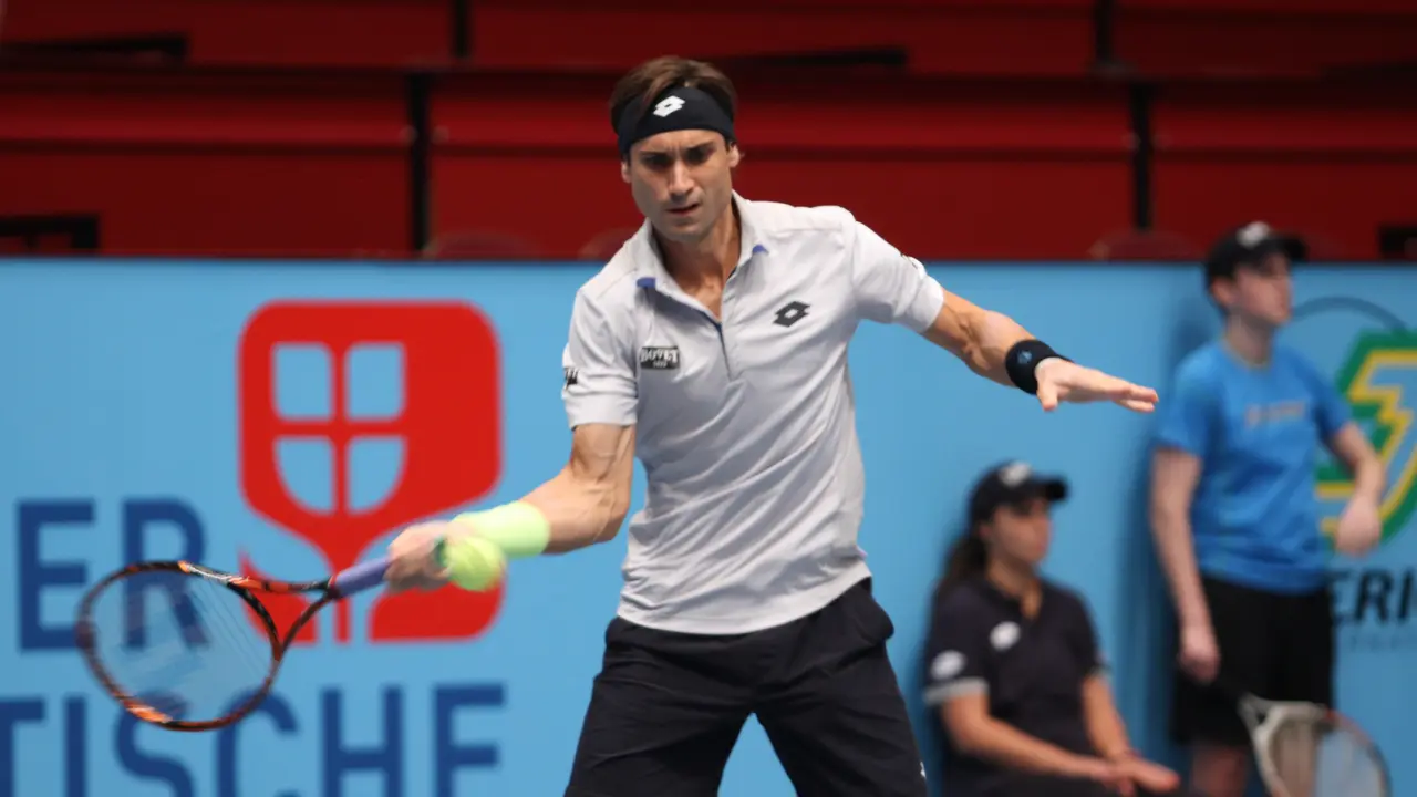 David Ferrer