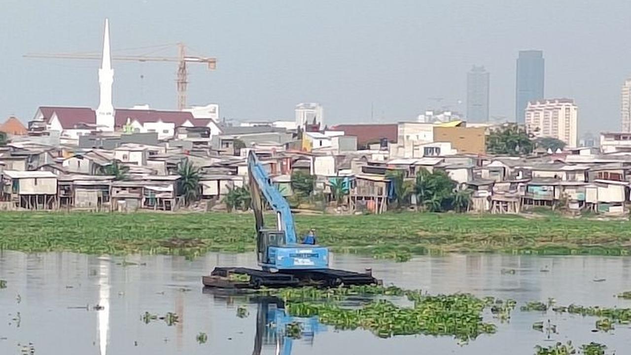 Waduk Pluit, Penjaringan, Jakarta Utara dipenuhi tanaman eceng gondok. Bahkan aroma tidak sedap tercium dari tumpukan eceng gondok yang berserakan.