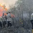 13 Hotspot Membara di Way Kambas, Operasi Udara Disiapkan